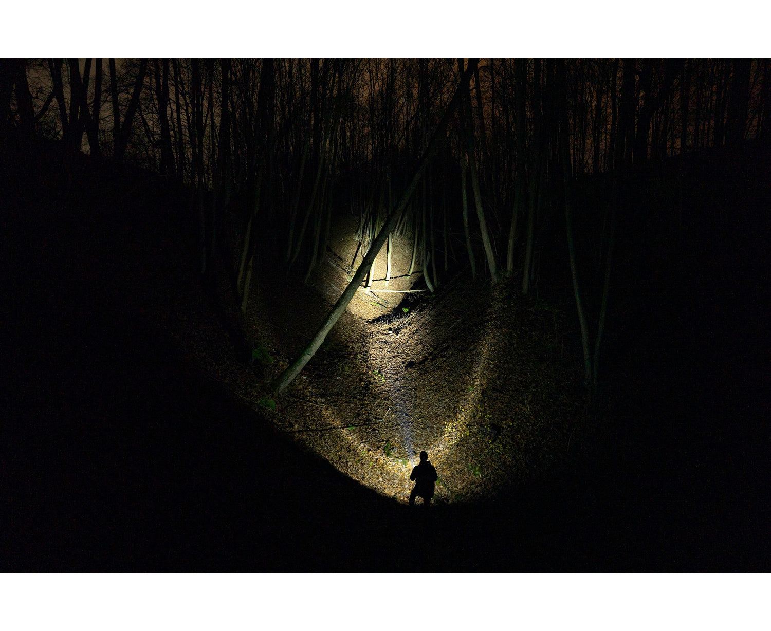 Armytek Flashlights Bear WRG